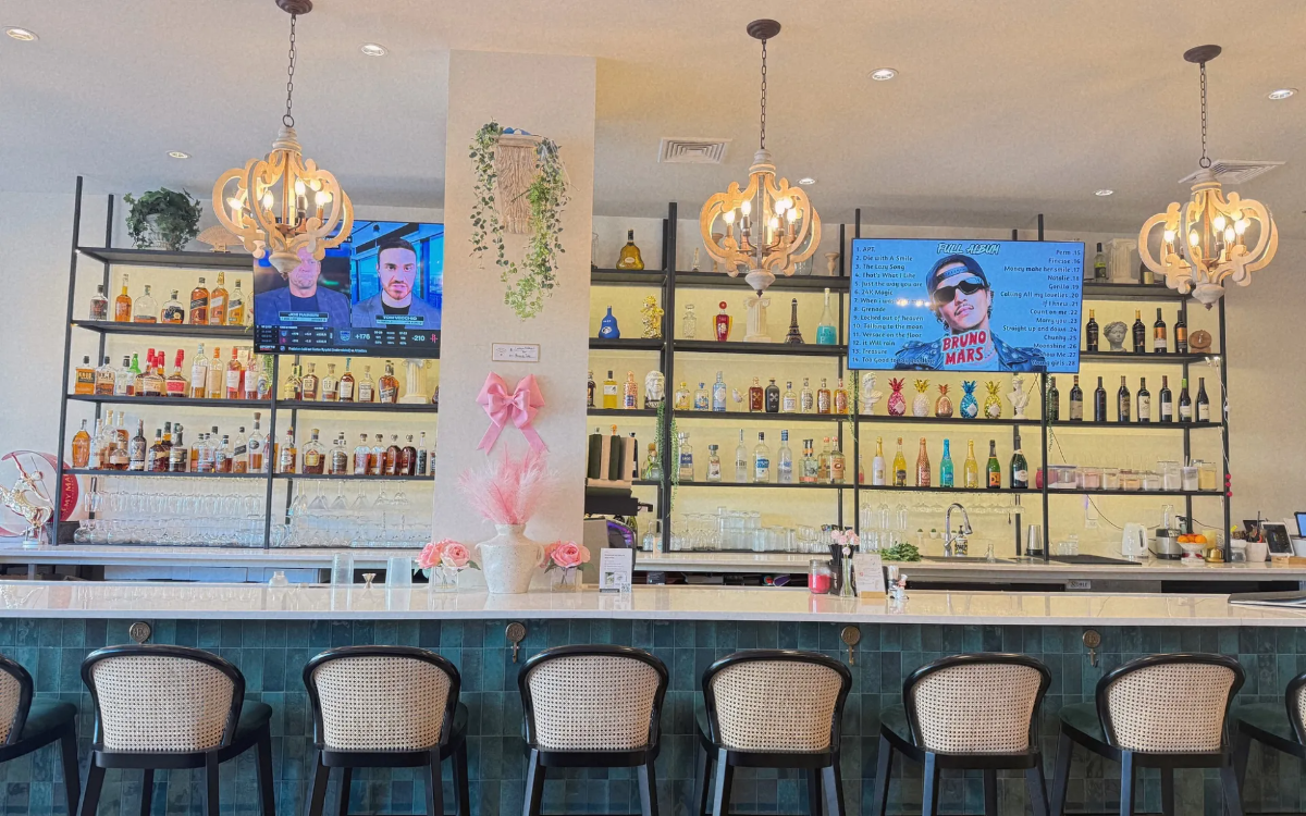 A Vibrant Sanctuary for Social Connection